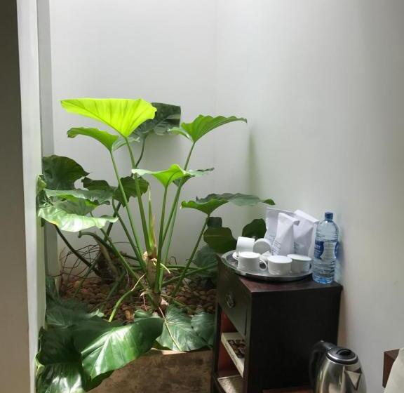 디럭스 패밀리 룸, Heladiv