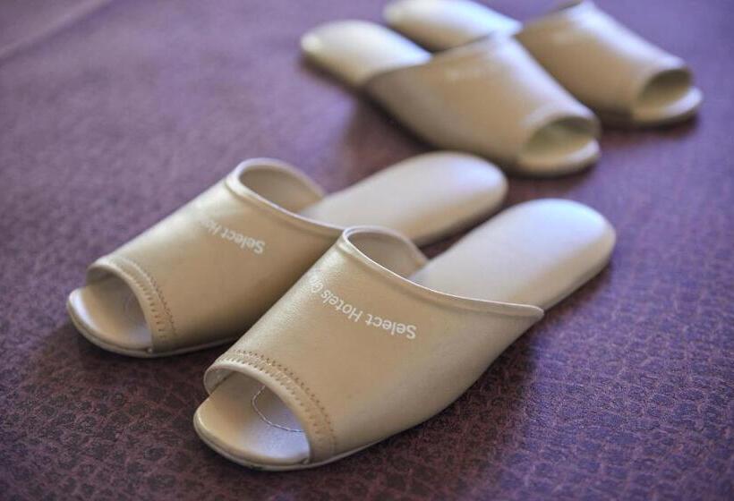 غرفة قياسية, Select Inn Isesaki