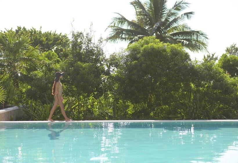 ルームシェアのワンベッド, Unico Hotel Riviera Maya Adults Only