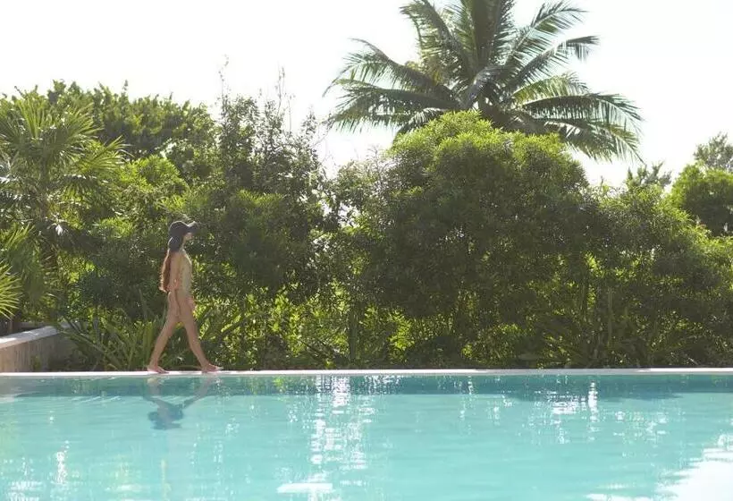 ルームシェアのワンベッド, Unico Hotel Riviera Maya Adults Only