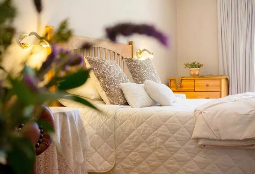 Deluxe-huone, Adley House
