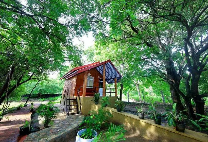 デラックスファミリールーム, Safari Lodge Yala