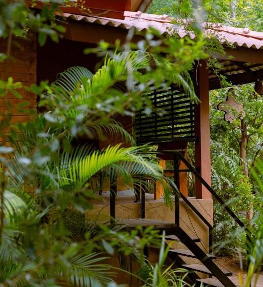 デラックストリプルルーム, Safari Lodge Yala