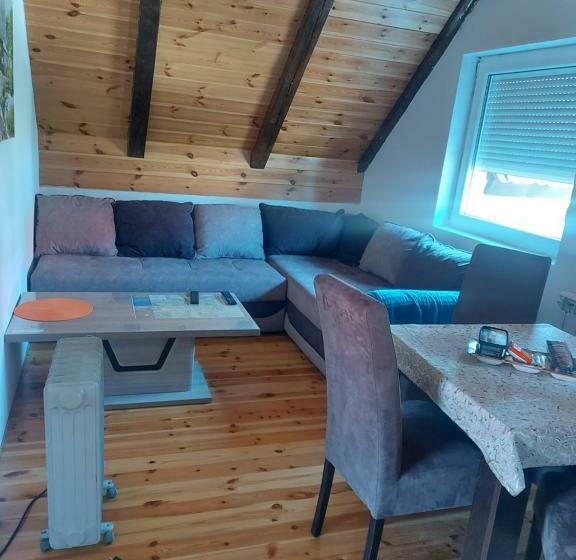 آپارتمان 1 خوابه, Apartmani Popovic Lux