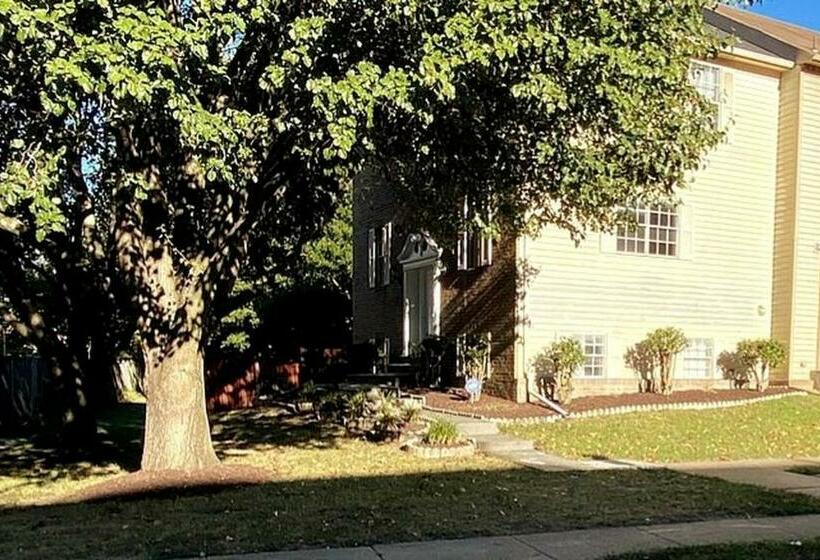 스탠다드 룸, Room In House   Executive Private Room