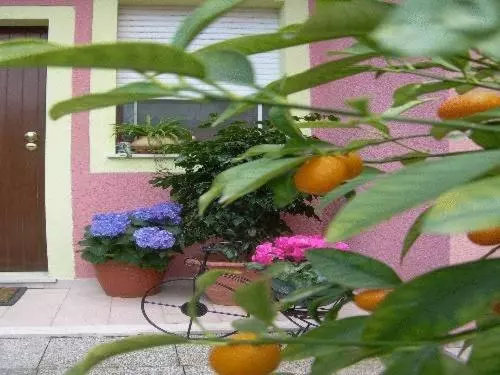 スタンダードルーム, Ariedo Bed And Breakfast