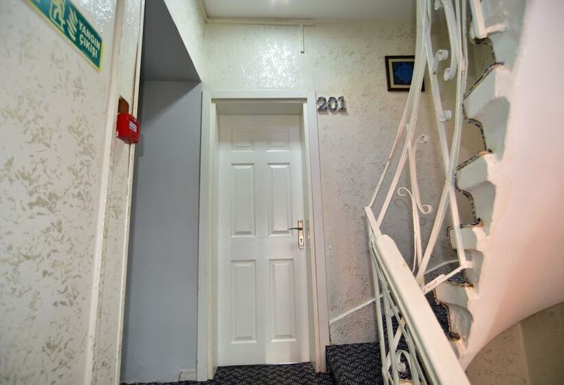 スタンダードルーム, The Han