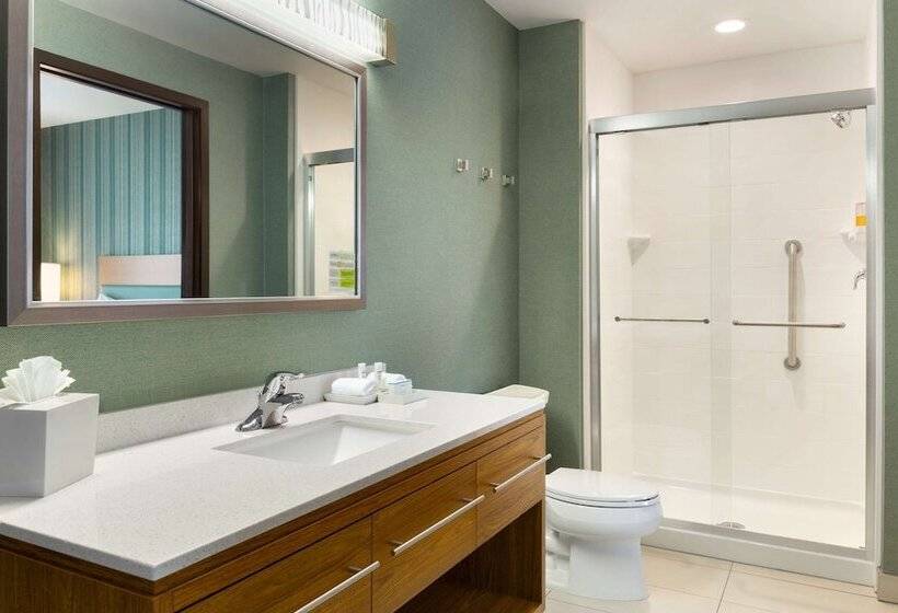 适合残疾人士使用的套间, Home2 Suites By Hilton Downingtown Exton Route 30