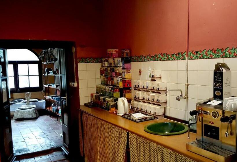 标准间带露台, B&b Mas Torrencito Pet Friendly