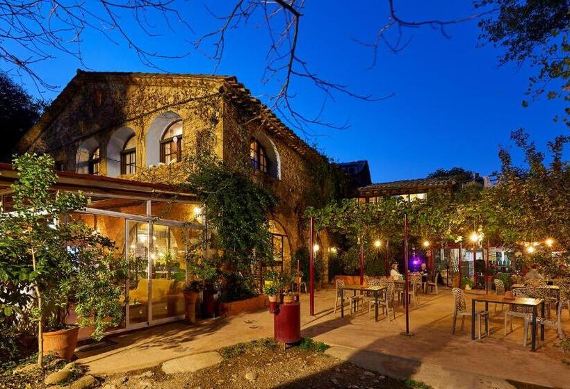 اتاق استاندارد با تراس, B&b Mas Torrencito Pet Friendly