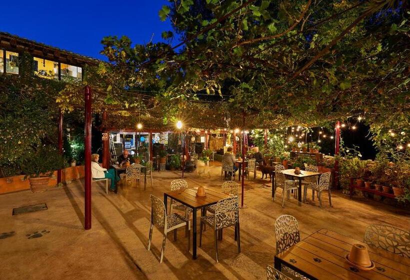 标准间带露台, B&b Mas Torrencito Pet Friendly