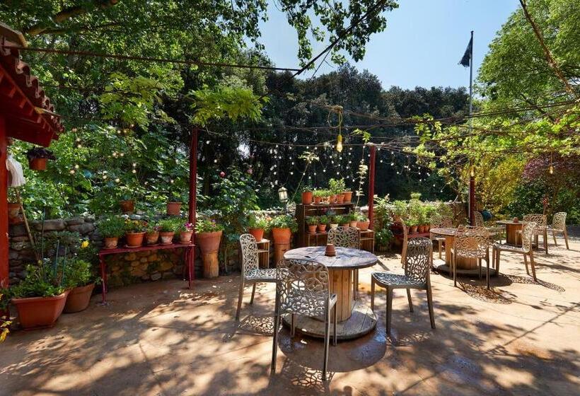 带露台的标准房间, B&b Mas Torrencito Pet Friendly