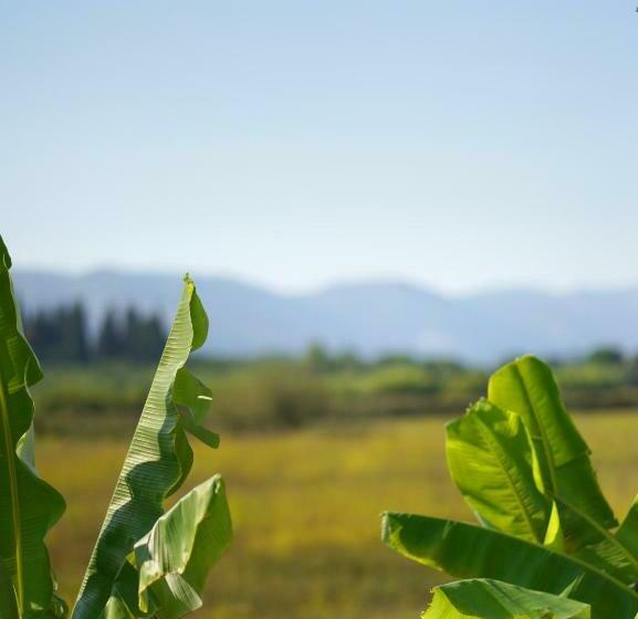 استودیوی استاندارد, Mirsini Studios & Apartments