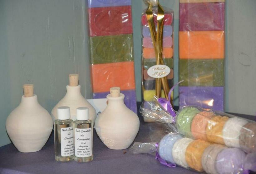 컴포트 룸, Le Mas Des Aludes