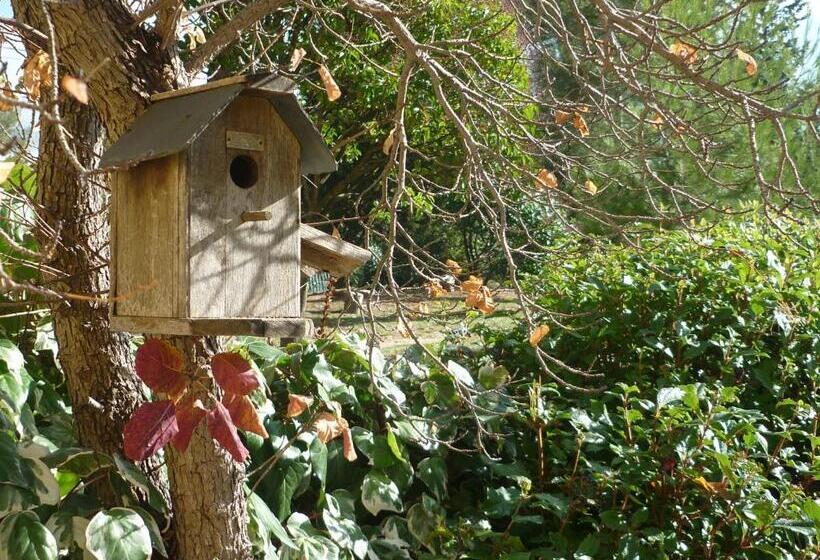 클래식 룸, Le Mas Des Aludes