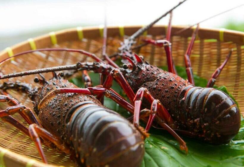 إستوديو قياسى, Iseebiso   Vacation Stay 69481v