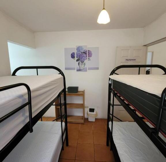 Economy Quadruple Room, Monte Alto Hospedaje Eventos Y Mas