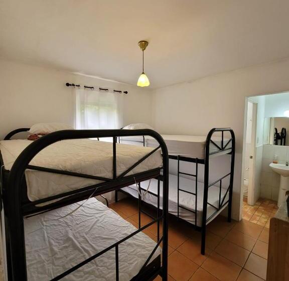 Economy Quadruple Room, Monte Alto Hospedaje Eventos Y Mas