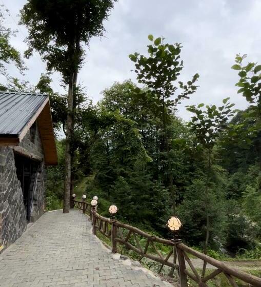 デラックスの４人部屋, Elavina Suit Bungalov