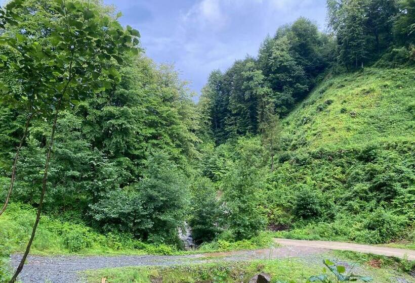 デラックスの４人部屋, Elavina Suit Bungalov