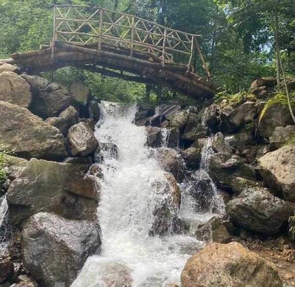 デラックスの４人部屋, Elavina Suit Bungalov