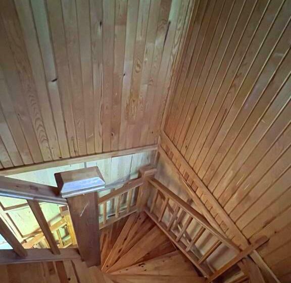 آپارتمان 1 خوابه با چشم‌انداز, Biik Apart