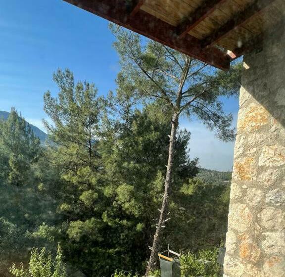 آپارتمان 1 خوابه با چشم‌انداز, Biik Apart