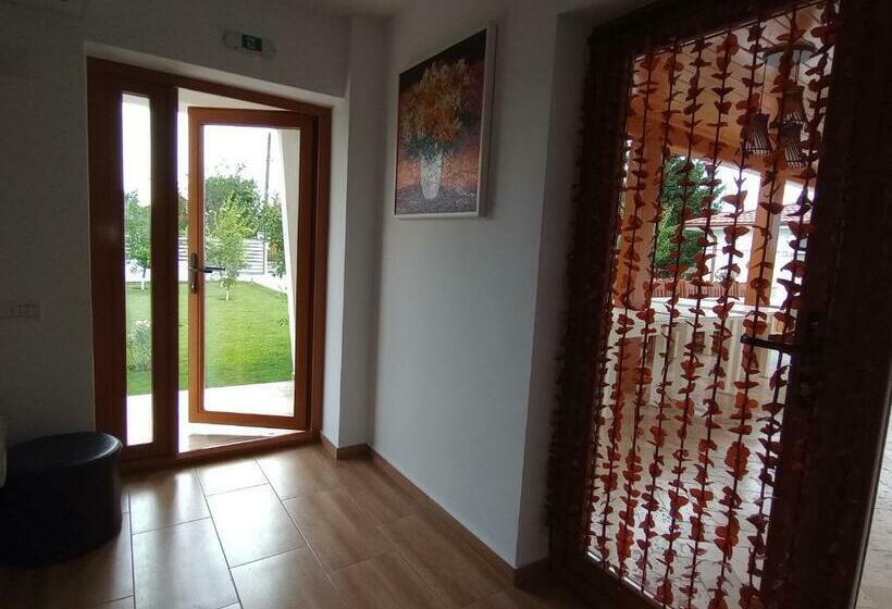 غرفة قياسية, Pestele Ca Odinioară