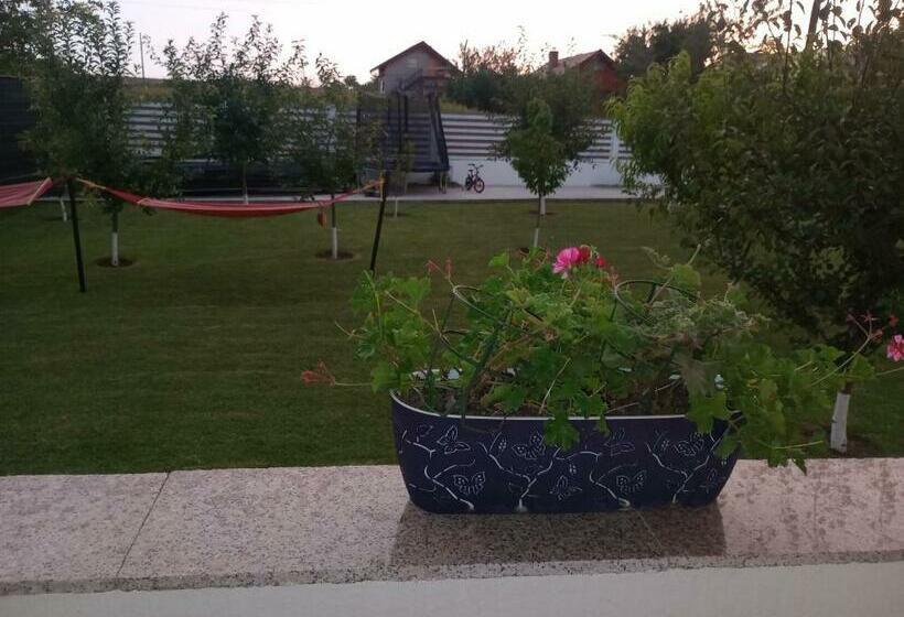 غرفة قياسية, Pestele Ca Odinioară