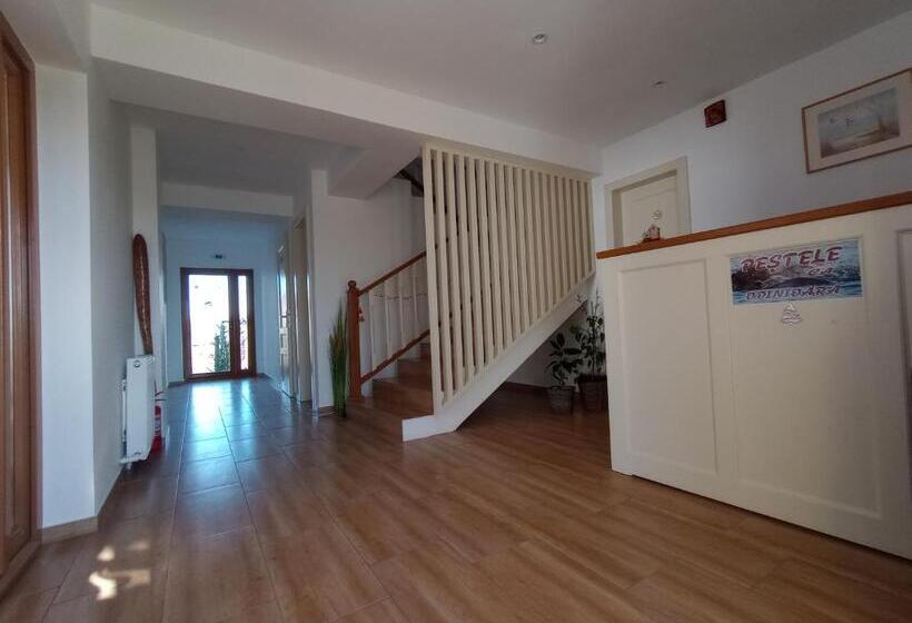 Номер Стандарт, Pestele Ca Odinioară