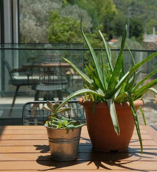 סוויטת סופריור, Kaktus Suites