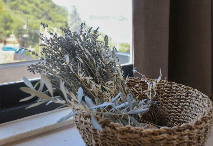 סוויטה דלוקס, Kaktus Suites