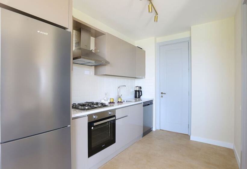 סוויטה אקזקיוטיב, Kaktus Suites