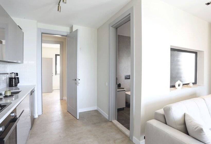 סוויטה אקזקיוטיב, Kaktus Suites