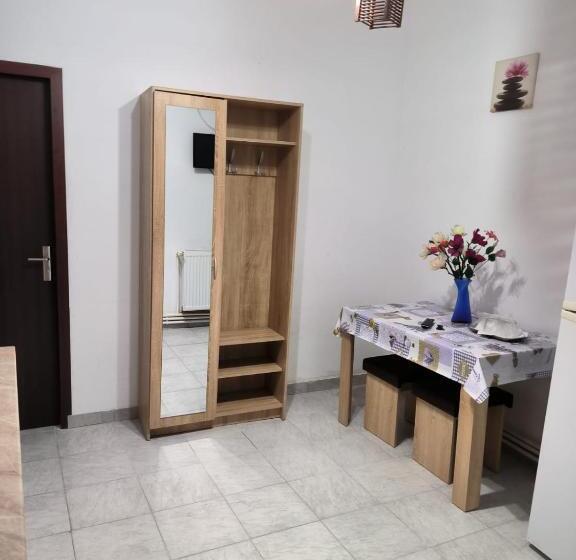 침실 1개 아파트, Vila Gherghisan