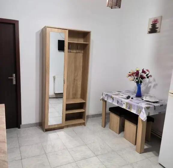 １ベッドルームアパートメント, Vila Gherghisan