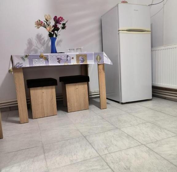 침실 1개 아파트, Vila Gherghisan