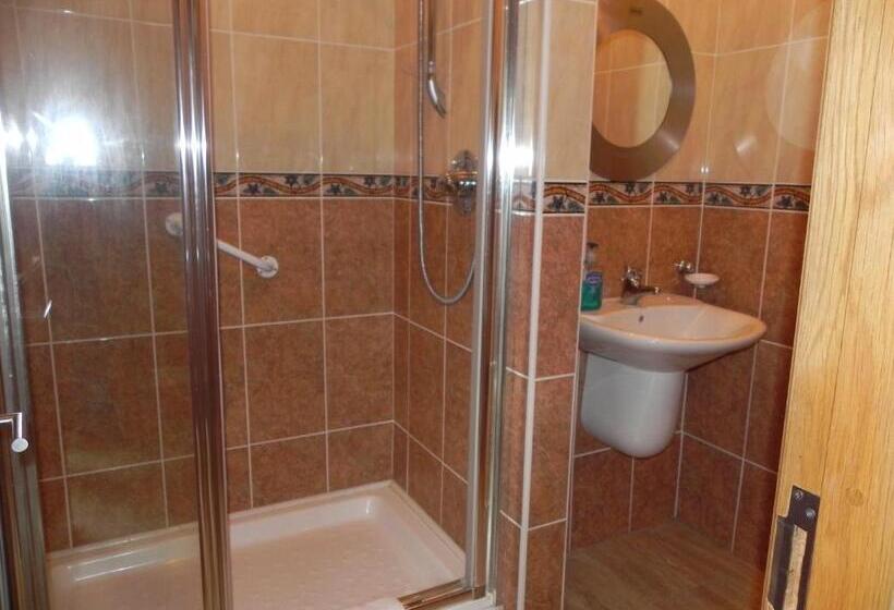 חדר משפחתי, Shelmalier House