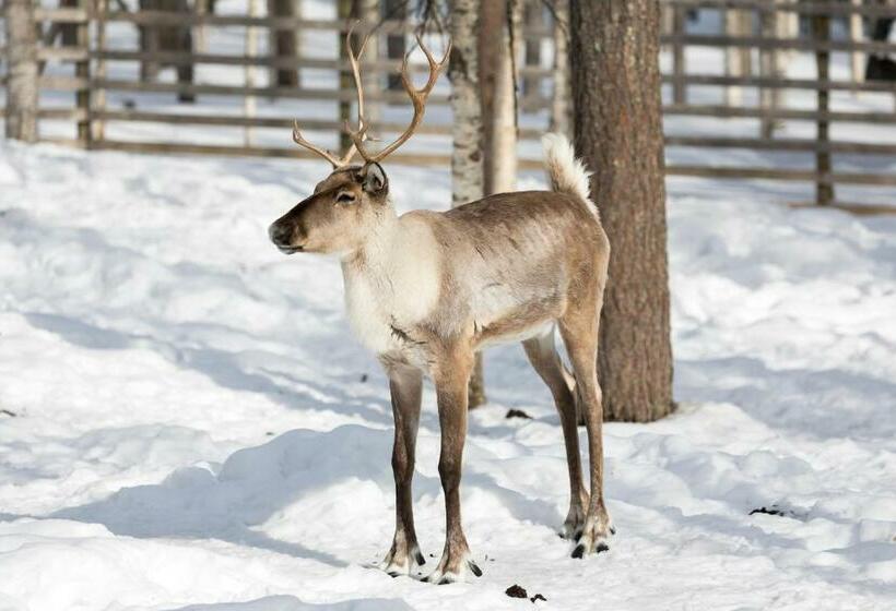 דירת 2 חדרים סופריור, Ranua Resort Holiday Villas