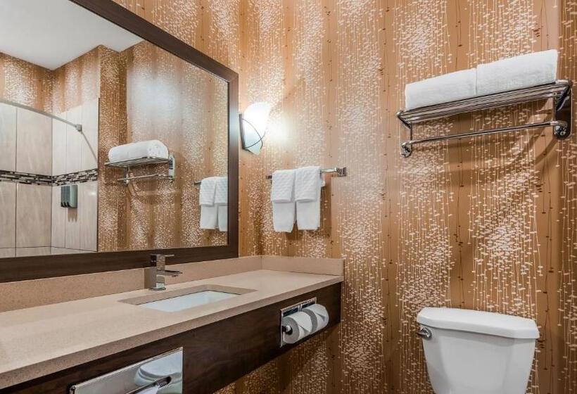 Номер Deluxe Кровать Кинг, Best Western Plus Kindersley
