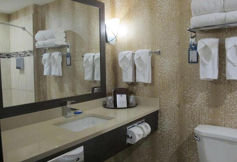 غرفة ديلوكس سرير كينج, Best Western Plus Kindersley