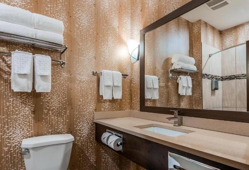 غرفة قياسية سرير كينج لذوى الإحتياجات الخاصة, Best Western Plus Kindersley