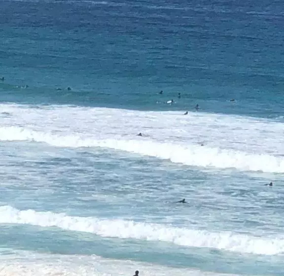 オーシャンビューバルコニー付スタンダードワンルーム, Bondi 38 Serviced Apartments