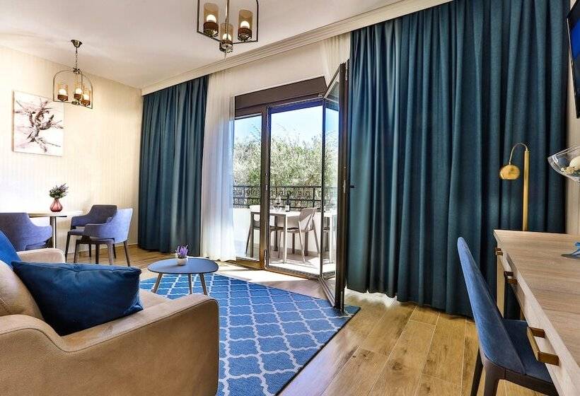 سوییت اجرایی, Harmony by Aycon