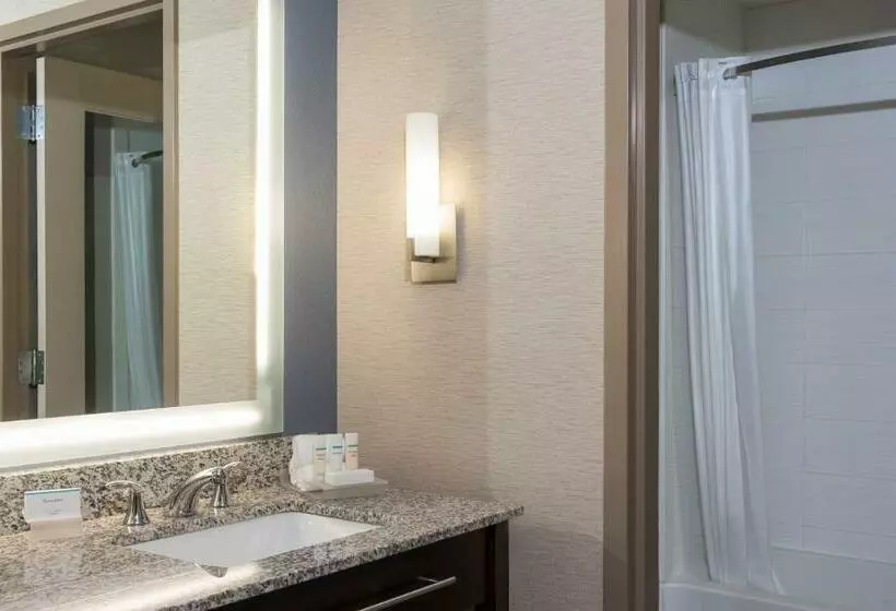キングサイズベッドのデラックススイート, Homewood Suites By Hilton Grand Rapids Downtown