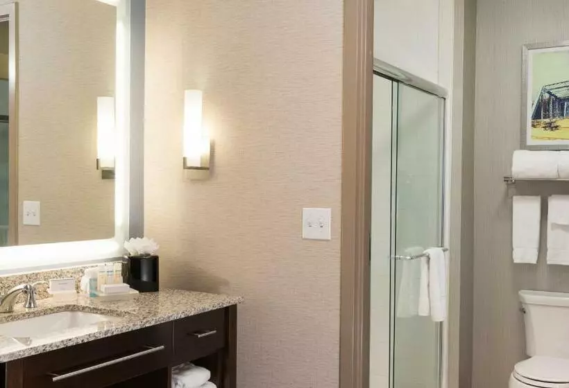 キングサイズベッドのデラックススイート, Homewood Suites By Hilton Grand Rapids Downtown