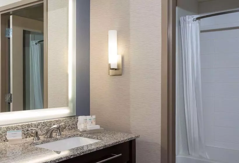 ダブルベッドのスタンダードスタジオ, Homewood Suites By Hilton Grand Rapids Downtown