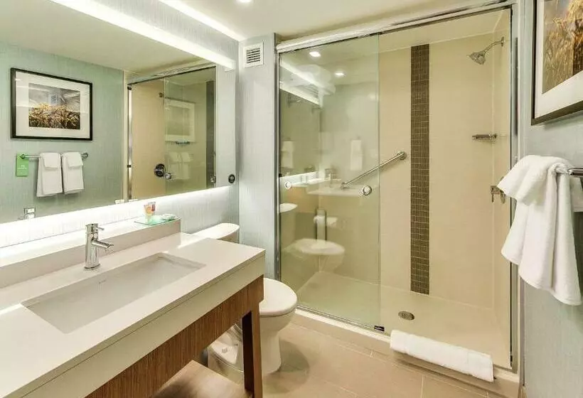اتاق استاندارد با تخت بزرگ, Hyatt Place Edmonton West