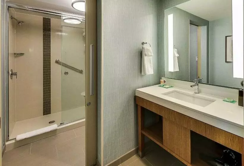 اتاق استاندارد با تخت بزرگ, Hyatt Place Edmonton West