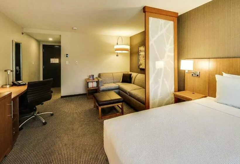اتاق استاندارد با تخت بزرگ, Hyatt Place Edmonton West